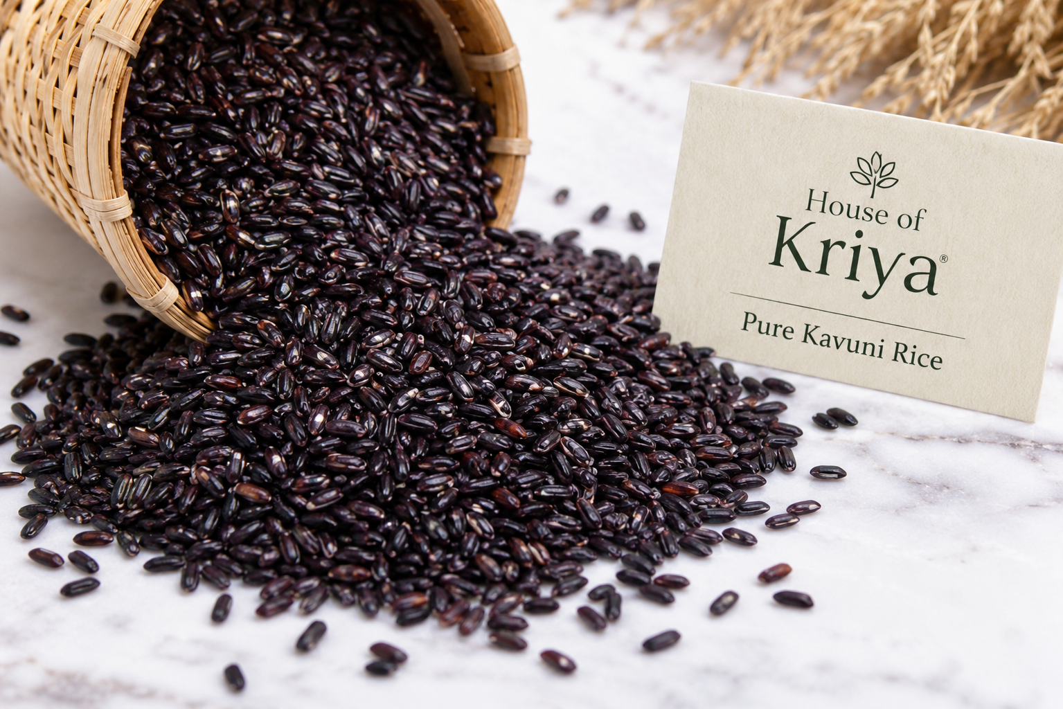 Pure Karuppu Kavuni black rice grains